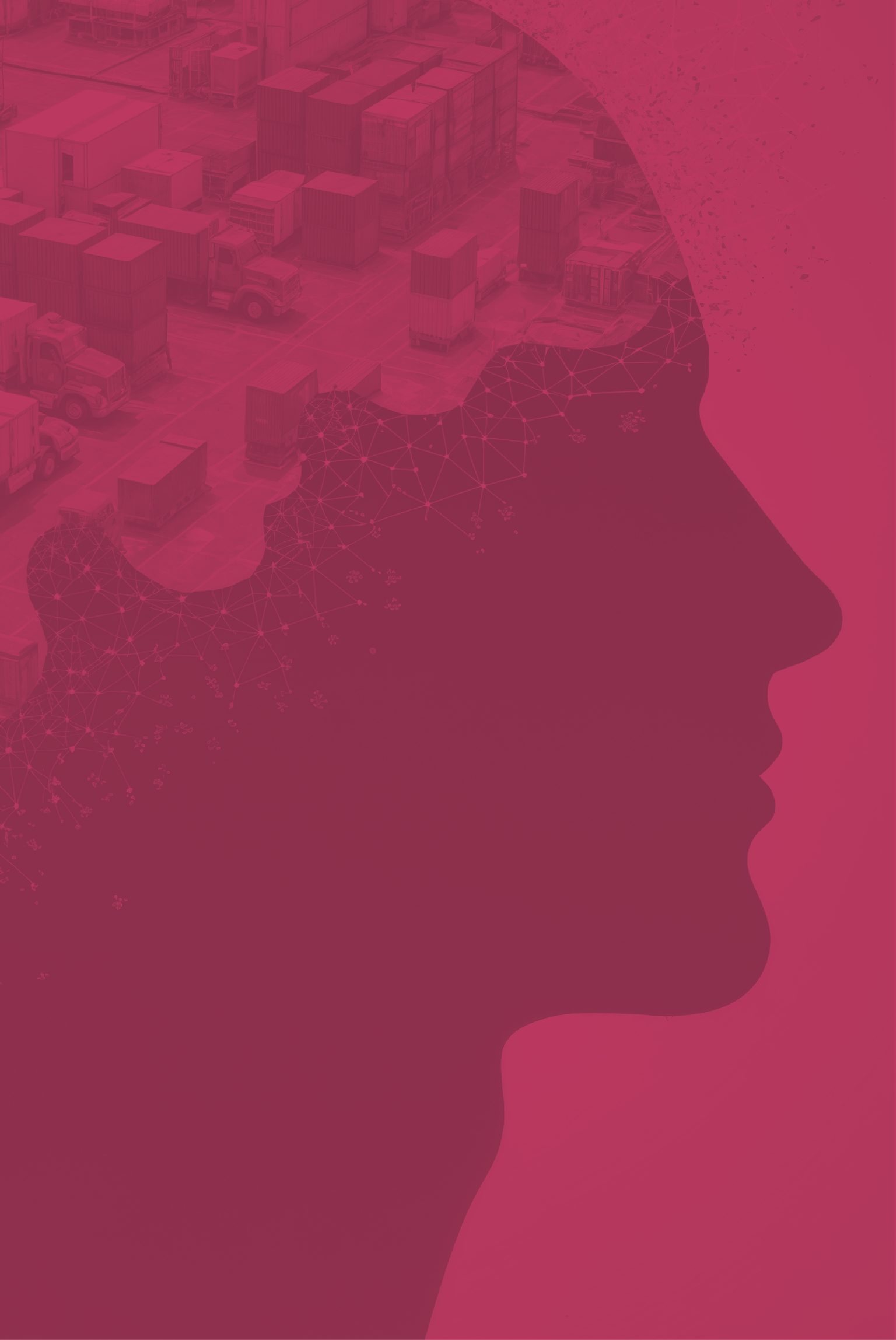 Servicio cotizaciones